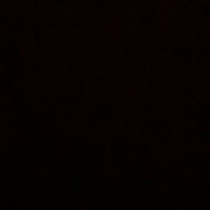 Meet your Posher, Gianna